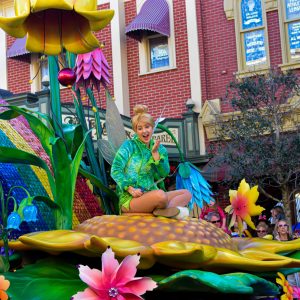 DSC_0040 DSC_0040